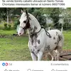 Efrain Flores - @efrain.flores541 - TikTok