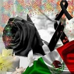 Efrain Galvez - @efrain.galvez.1485 - Instagram