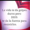 Efrain Galvez - @efrain.galvez6 - TikTok