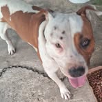 Efrain Irizarry - Facebook