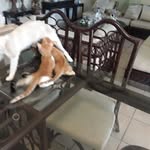 Efrain J. Irizarry - @irizarryefrainj - Instagram
