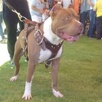 efrain islas - @islas.efrain - Instagram