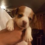 Efrain lujan - @efrain_lujan7 - Instagram