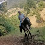 Efrain Lujan - @efrainlujan74 - Instagram
