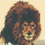 Efrain Lujan Pazo - @efrainlujan - Instagram