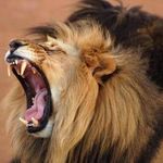 Efrain Malave - @efrain.malave.18 - Instagram