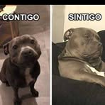 Efraín Ojeda - Facebook