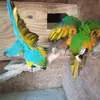 Efraín Pedroza - @efran.pedroza - TikTok