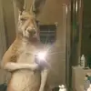 Jose Efrain Pedroza - @jose.efrain.pedro - TikTok