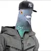 Efrain Botello - @efrainbotello - TikTok