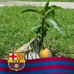 Efrain Tello - @efrain.tello.50 - Instagram