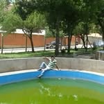 Efrain Torrez - @torrez.efrain - Instagram