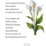 Efrain Tzoc - Facebook