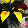 Efrain Valencia - @efrain.valencia13 - TikTok