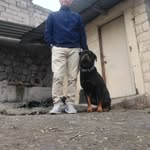 efrain vallejo - @efrainvallejo5 - Instagram