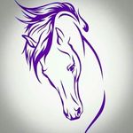 Efrain Valles - @efrain.valles.71 - Instagram