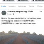 Valles Efrain - @valles.efrain - Instagram
