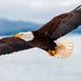 Efrain Vanegas - Facebook