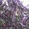 Efraín Vanegas - @efran.vanegas - TikTok
