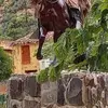 Efrain Vasquez Galindo Efrain - @efrainvasquezgali - TikTok