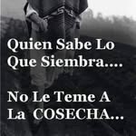 Efrain Vidal Garcia - @efrainvidalgarcia - Instagram