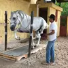 @efra374 - @efrainvigilsoto - TikTok