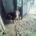 Efraín Yepes - Facebook