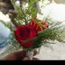 Efran Ali - Facebook