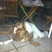 Efrat Dagan - Facebook