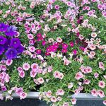 efrat.dagan - @efrat__dagan - Instagram