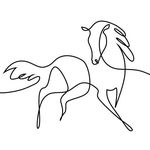 Efrat Golan - @efrat_horses - Instagram
