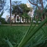 Efrem Bekele - @ef.rem4673 - Instagram