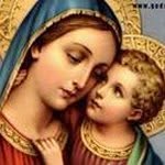Daniel Efrem - @efrem.daniel - Instagram
