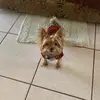 Efren Ibanez - @efrenibanez - TikTok