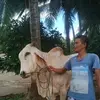 Bella - @efrenangulo3 - TikTok