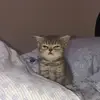 Efren Apodaca - @efren.apodaca - TikTok