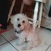 Luis Efren Avila Perez - Facebook
