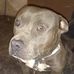 Efren Baeza - Facebook