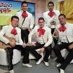 Efren Chory Hernandez Bello - @mariachitequila - Instagram