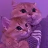 Efren Benitez - @efren.benitez5 - TikTok