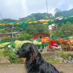 Efren Bernal - @efren.bernal.79 - Instagram