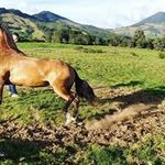 Efren Bernal - @efren.bernal.372 - Instagram