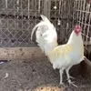 Efren Cabrera - @efren.cabrera57 - TikTok