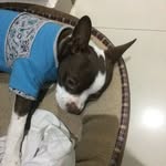 Lucio Efren Cachon Ayora - @lucioefrencachonayora - Instagram