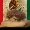 Efren Cano Camacho - @efren.cano.camach - TikTok