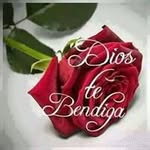 Efren Caballero Caro - @efrencaballerocaro - Instagram