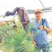Efren Carreon - Facebook
