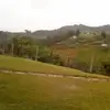 Luis Efren Ceballos - @luisefrenceballos0 - TikTok