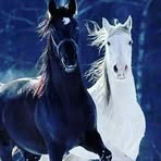Efren Cobos - Facebook