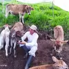Efrén Cobos - @efren_cobos - TikTok